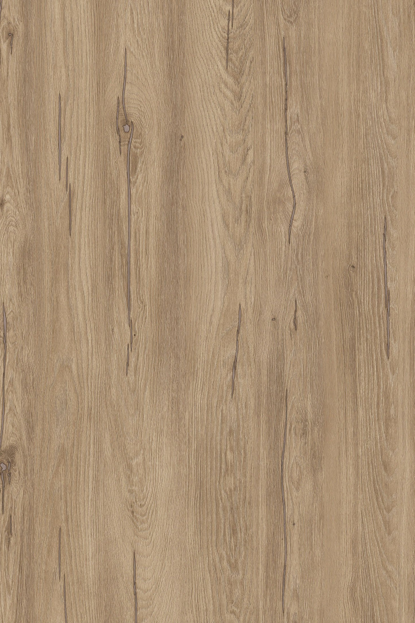 Melamine Faced Particle Board - K544 Hazel Silverjack Oak | WOODca